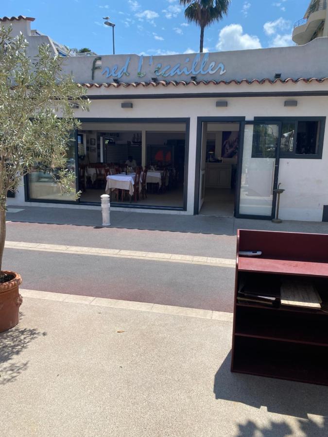 Magnifique 2 Pieces Palm Beach Bord Mer Cannes Exterior foto